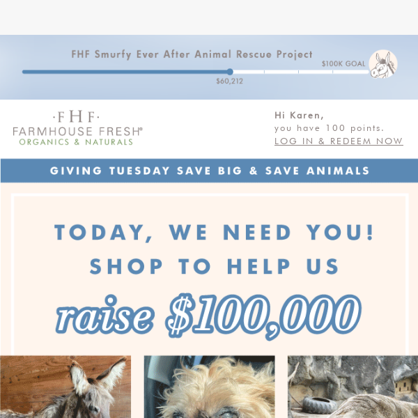 TODAY: Your FHF Gifts Save Countless Animals! 🐴🐶🐘