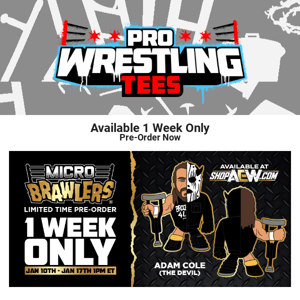 There's Royalty In This February's Crate - Pro Wrestling Tees