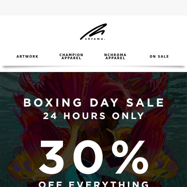 30% OFF ENTIRE STORE - 24HRS 🥊