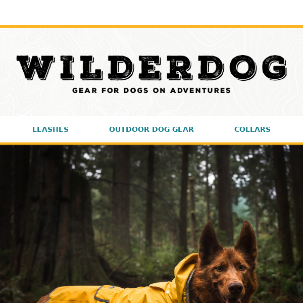 Unleash the Adventure with Wilderdog's New Dog Raincoats! 🐾🌧️