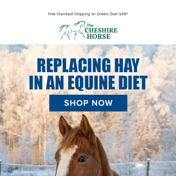 High-Quality Hay Substitutes for Your Horse This Winter