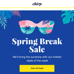 Spring break sale! Hot deals and sunny steals