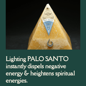 The Palo Santo Candle