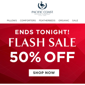 Final Day! 50% OFF Flash Sale Ends Tonight