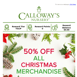 Happy Holidays! Enjoy 50% Off All Christmas Merchandise