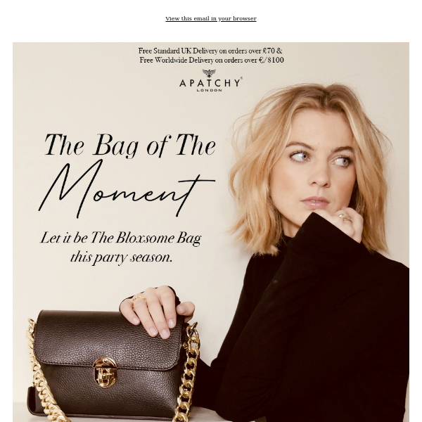 The Bag Of The Moment
