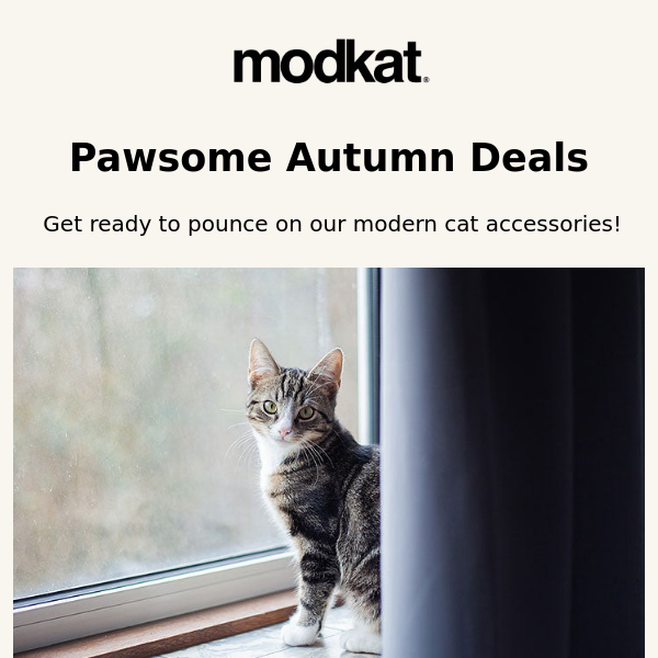 🧡 🐾 Treat Your Kitty to a Fall Surprise