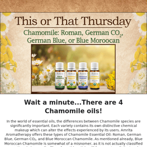 Unlock the Secrets of 3 Different Chamomile Varieties 🌼