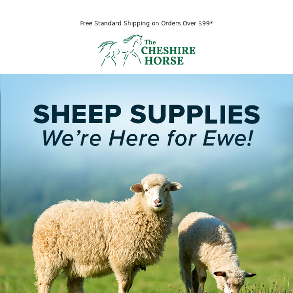 Shop Our Baa-Rilliant Selection of Sheep Supplies