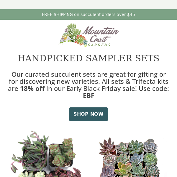 🌵 Explore Our Handpicked Sampler Sets