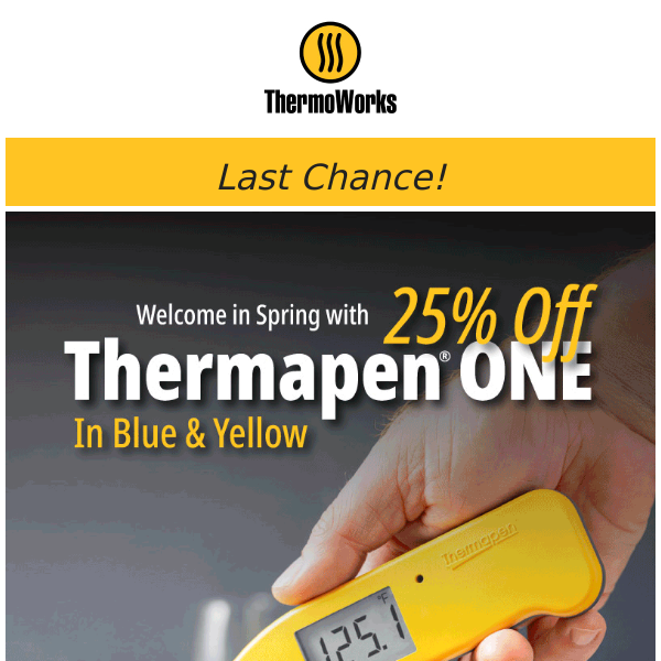 Thermapen ONE deal: Get this quality meat thermometer for 25% off