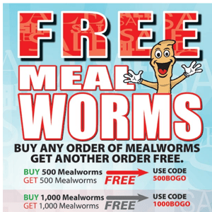 BOGO Sale. Free Mealworms.