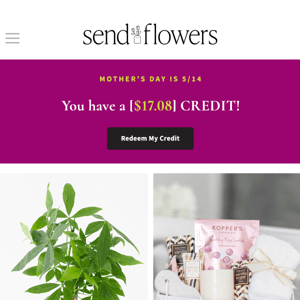 Your credit & our top Mother's Day bouquets  💐