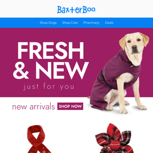 BaxterBoo.com- your pet's paw-picked favorites💛