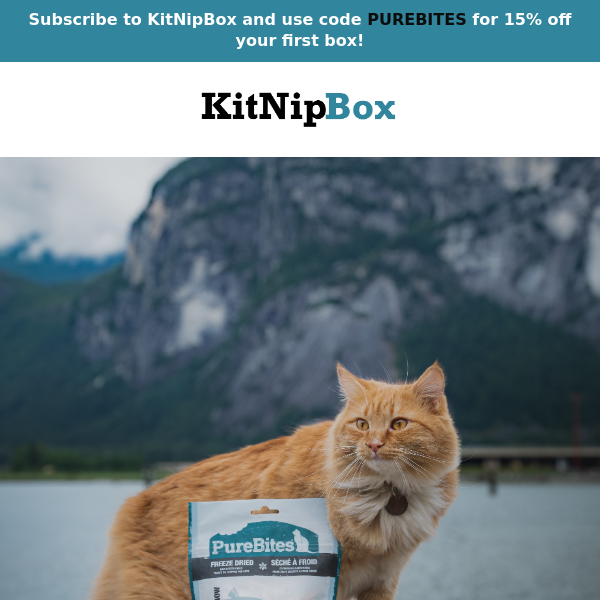 Treat Your Cat with the Best: Purebites!