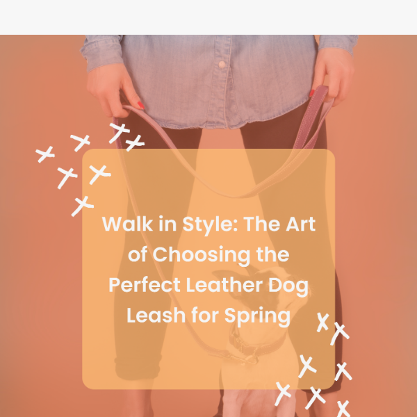 🌸Walk in Style: The Art of Choosing the Perfect Leather Dog Gear for Spring🌸