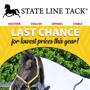 📢 Last Call for Lowest Prices of the Year!