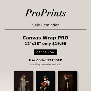 12x18" Canvas Only $19.96