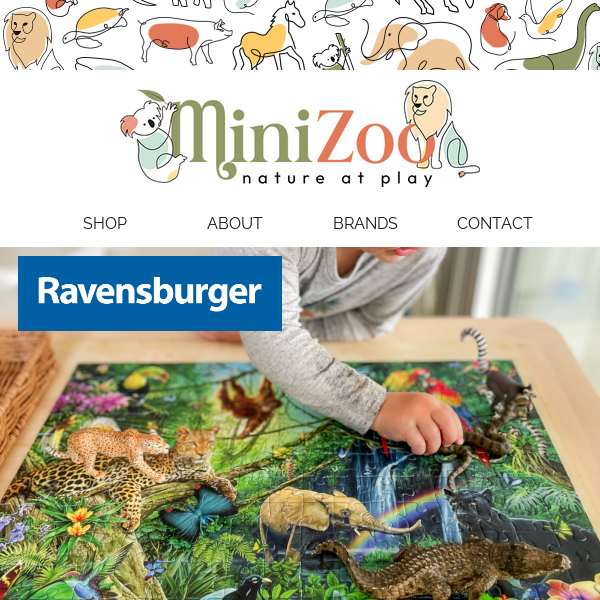 Enjoy the Challenge of Ravensburger Puzzles - Now Available in 300pc & 500pc 🦧