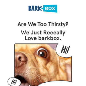 BarkBox's last chance for $60 of free toys. No pressure.