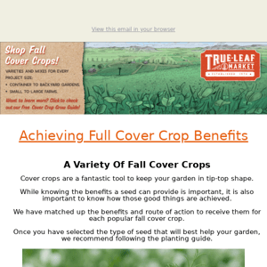 Overwintered vs. Winterkilled Cover Crops | TLM Newsletter