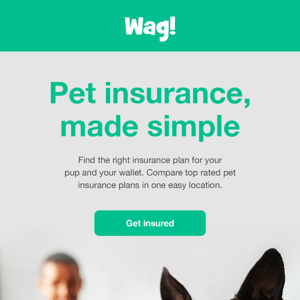 It’s easier than ever to insure your pets