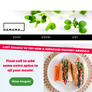🚨 Last chance to stock up on Arugula 🌱