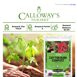 Rejuvenate your soil with Cotton Burr Compost on sale for 12.98!