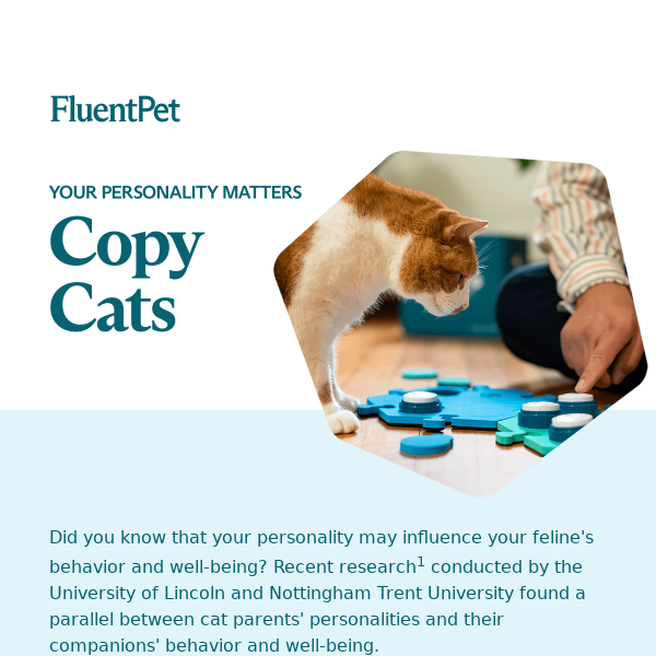 Copy Cats - What you need to know about your feline…