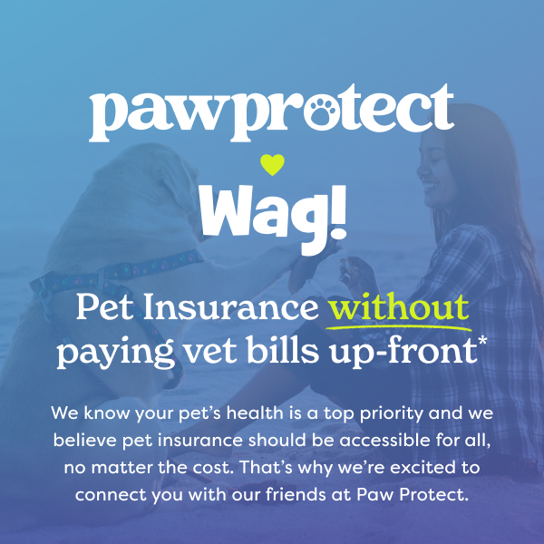 Introducing Paw Protect!