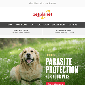 Keep Your Pets Protected From Parasites
