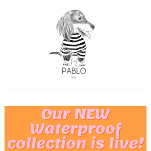 OUR WATERPROOF COLLECTION IS NOW LIVE 🐶