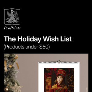 The Holiday Wish List (under $50)