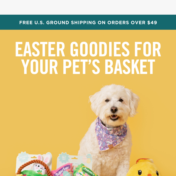 🐰🐣 Easter Basket Must-Haves!