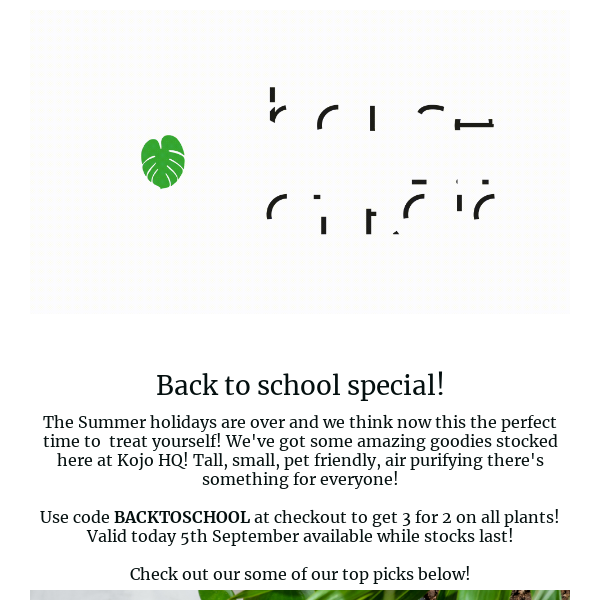 Back to school special! 3 for 2 on all plants! 🍎