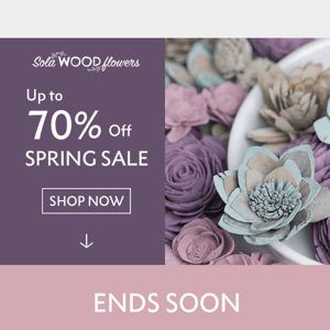 🌸 🌺 🌼 Spring into Savings with Sola Wood Flowers!