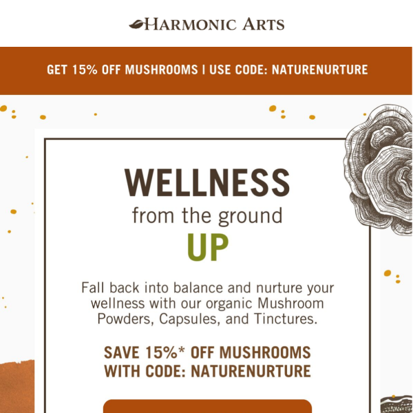 Embrace Mushroom Wellness: 15% Off this Fall  🍄🍂