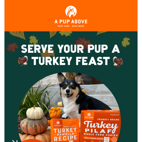 Save on your pup’s Thanksgiving feast