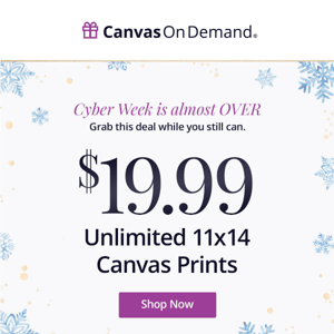 Ends TOMORROW! Unlimited 11x14 canvas for $19.99! 🛍️