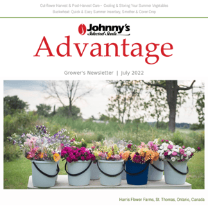 July Advantage | High-Summer Harvest & Post-Harvest Care for Fresh Flowers & Vegetables