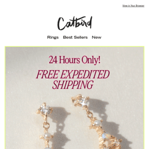 ENDS SOON: Free Expedited Shipping