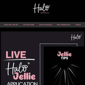 Jellie Tips Application Live Tomorrow