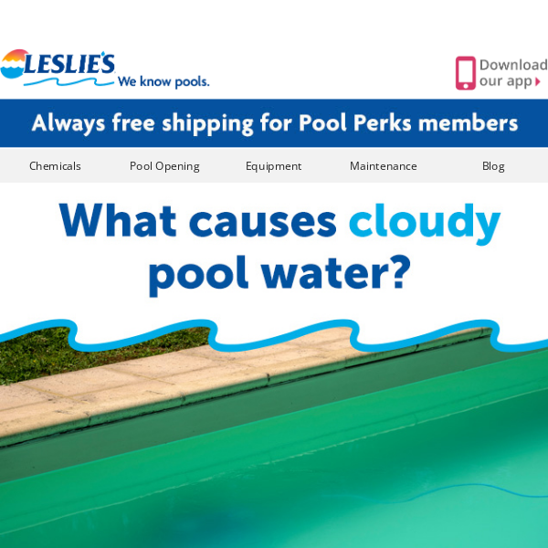 Top 4️⃣ Reasons Your Pool Water is Cloudy (Read Now)