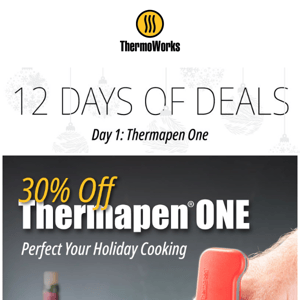 30% Off Thermapen ONE—Limited Time!