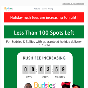 Holiday rush fees are increasing soon!