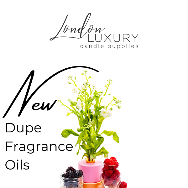 NEW Dupe Fragrance Oils ❣️🌻