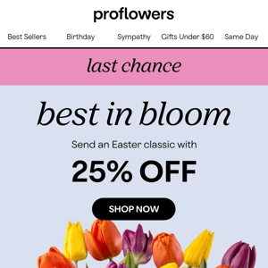 Take 25% Off Easter Best Sellers