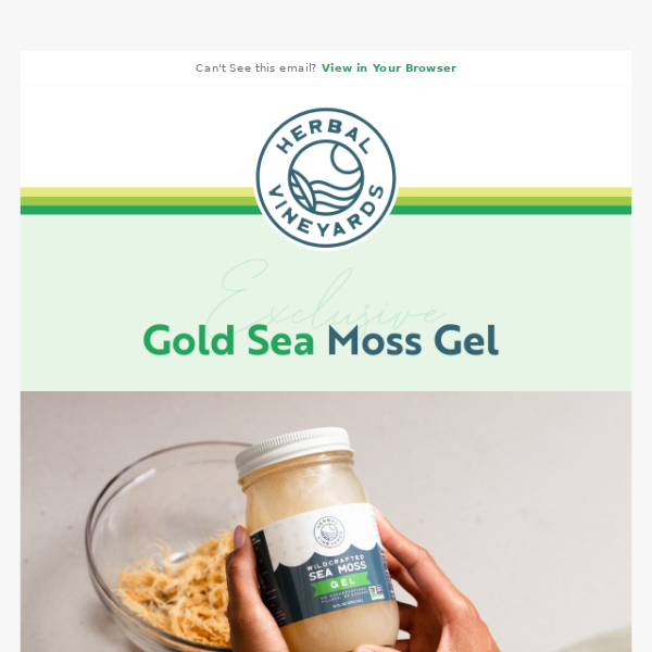 Try Our Golden Sea Moss Gel 🌟 Herbal Vineyards