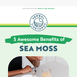 Start 2023 strong with Sea Moss 💚