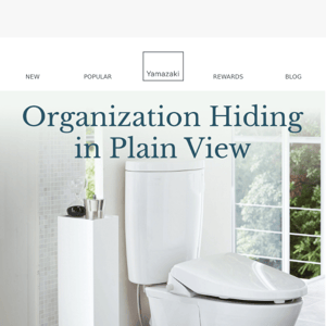 Organization Hiding in Plain View